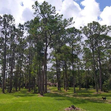 The Little Retreat Apartment Sebring Exterior photo