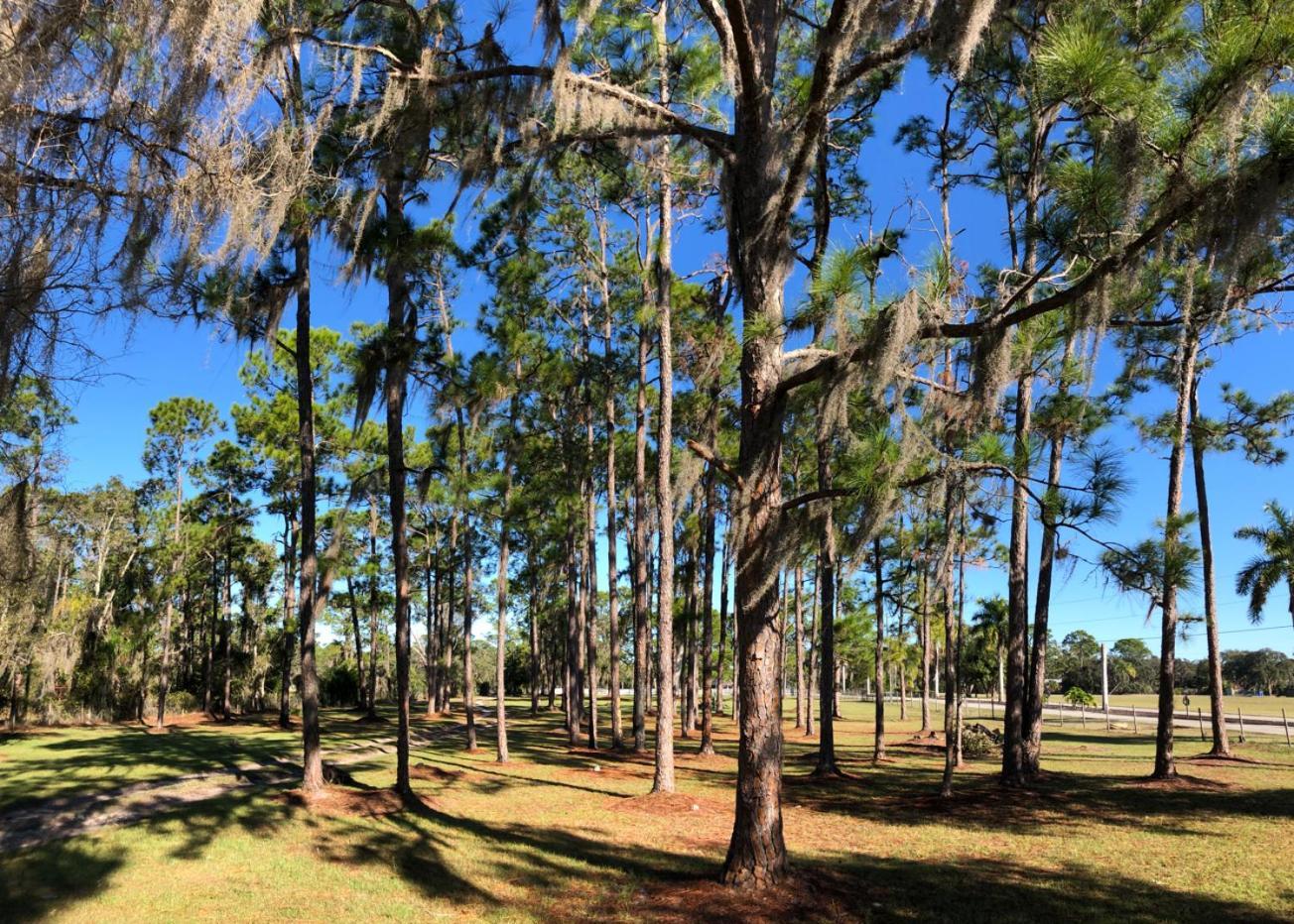 The Little Retreat * Sebring