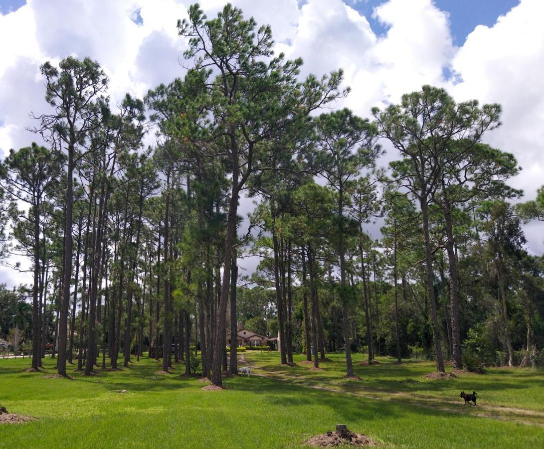 The Little Retreat Apartment Sebring